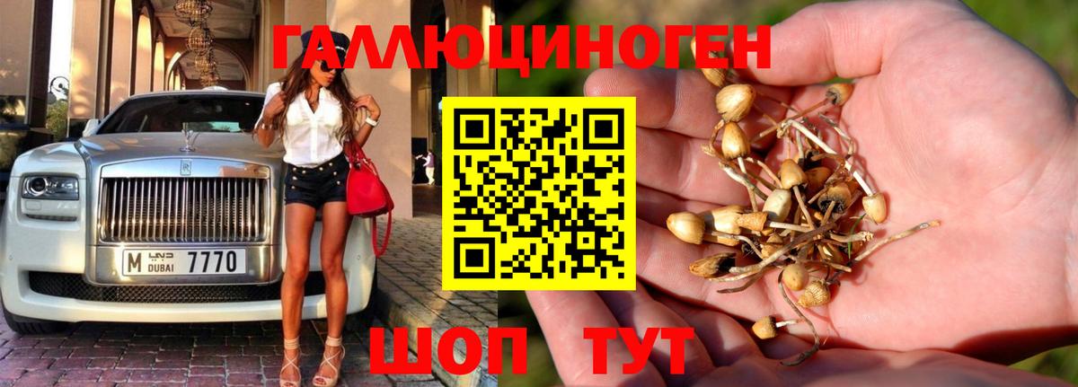 Псилоцибиновые грибы MAGIC MUSHROOMS  Вход с VPN  Сыктывкар 